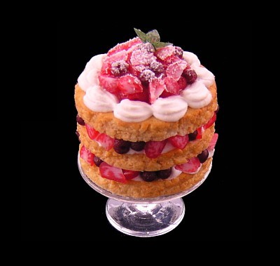 Biscuit de Savoire
